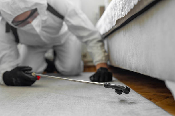 Professional Rodent Control technician working in Haverford College, PA