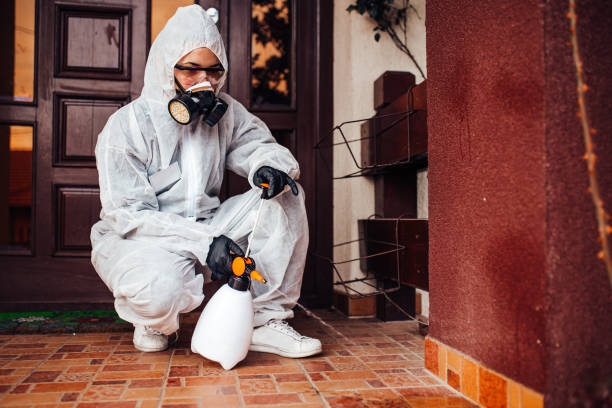 Reliable Rodent Control contractor in Haverford College, PA by Nex Pest Control
